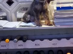 -牧歌商务公馆(南门店)