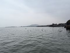 -巢湖姥山岛