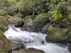 -龙苍沟森林公园