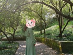 -南山植物园