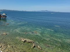 -养马岛旅游度假区