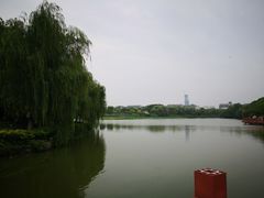 -邵顺兴锅盖面(金山宝地店)
