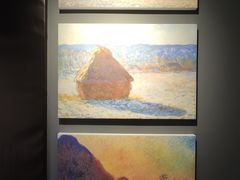 -印象莫奈时光映迹艺术展