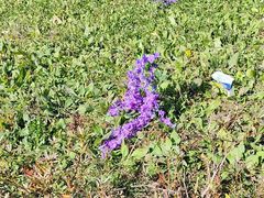 -丹东市五龙山风景区