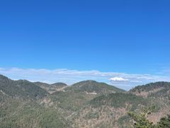 -四明山国家森林公园