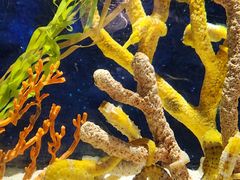 -珠海长隆海洋王国