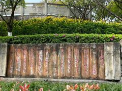 -重庆彩云湖湿地公园