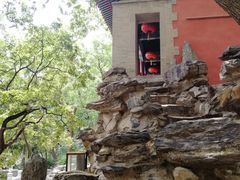 -大觉寺-停车场
