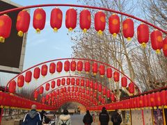 -河北省园博园