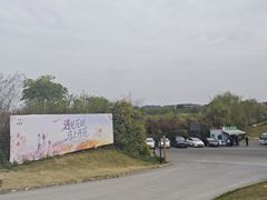-空港花田景区