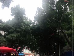 -黄埔古港