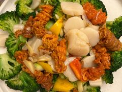 珊瑚蚌元貝炒西蘭花-海港酒家(上水新丰店)