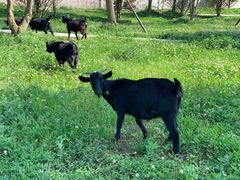 -云漫湖生态度假公园