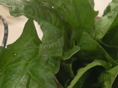 -牛人日志·鲜牛肉骨汤火锅(万科里瑧店)