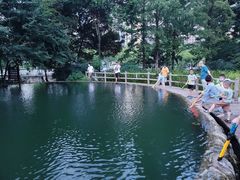 -成都市活水公园