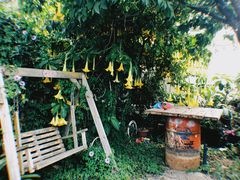 -明月山庄私房菜(环海东路店)