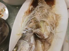 -陶然饺子城(奥体中路店)