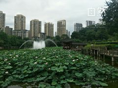 -龙头寺公园