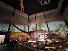 -湖南省地质博物馆