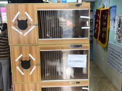 -A猫a狗全科·犬猫异宠·芥西宠物医院(南开总院)