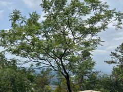 -白云山风景名胜区