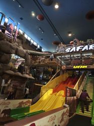 -卡通尼·Safari非洲探索乐园·生日会(金桥国际商业广场店)