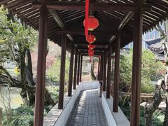 -上海醉白池公园