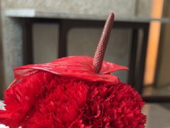 -茶源Fountain Lounge大堂吧·北京东方君悦大酒店