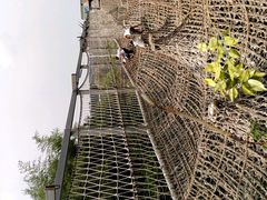 -北京呀路古热带植物园