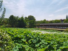 -东坡赤壁风景名胜区