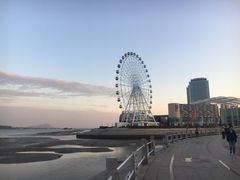 -琴岛之星摩天轮