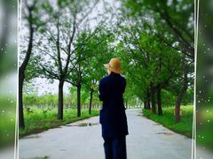 -黄河富景生态世界