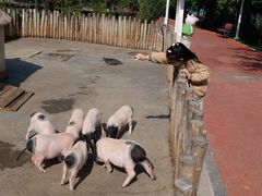 -水上乐园·欢乐世界