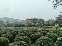 -中国茶叶博物馆(双峰馆区)