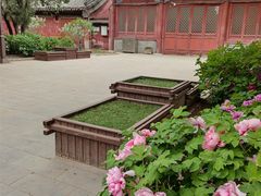 -北京市劳动人民文化宫(太庙)