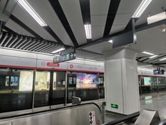 -临平南高铁站(地铁站)