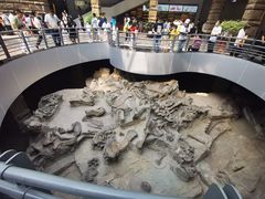 -自贡恐龙博物馆
