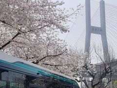 -南浦大桥长途旅游客运站