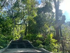 -神光山国家森林公园