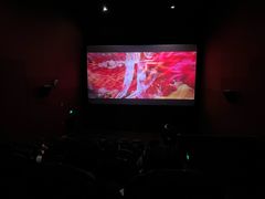 -SFC上影百联影城(川沙IMAX店)