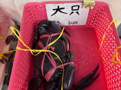 -龙海鲜螃蟹王(宏茂桥店)