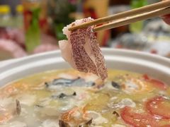 -金龙·打边炉(南京西路店)