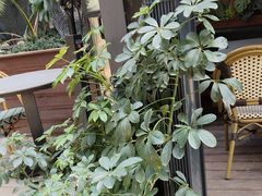 -陈熹公民族美食文化餐厅(中华广场店)