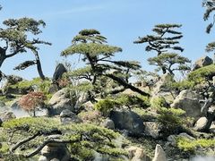 -罗红摄影艺术馆