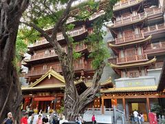 -大佛寺高级素食自助餐厅