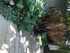 日月谷温泉渡假村-厦门日月谷温泉渡假村