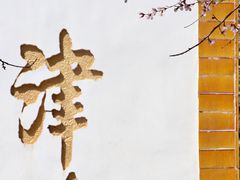 -桃花堤公园