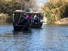 -溱湖国家湿地公园