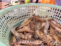 基围虾-船奇蒸汽海鲜·闽菜(八市海鲜总店)