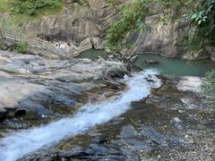 -广州白江湖森林公园